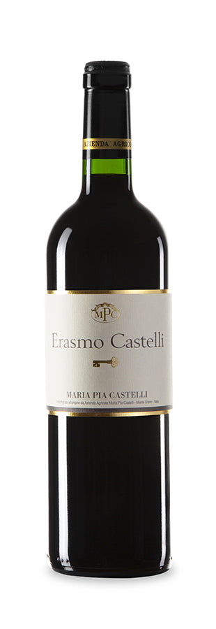 Erasmo Castelli